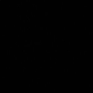 Meet your Posher, Erik